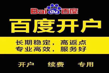 推广竞价案例分析：揭秘高转化率背后的秘密